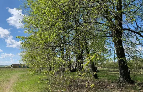 Вясна на Палессі / Еўрарадыё