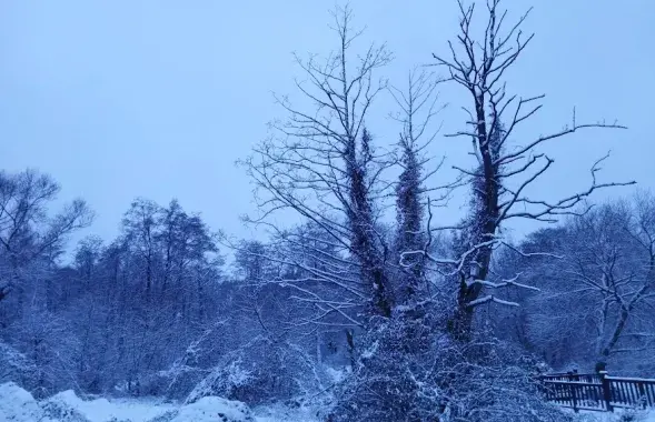 Зіма ў Беларусі / Еўрарадыё
