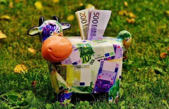 Страны СНГ не готовы отказаться от доллара и евро / Иллюстративное фото pixabay.com​