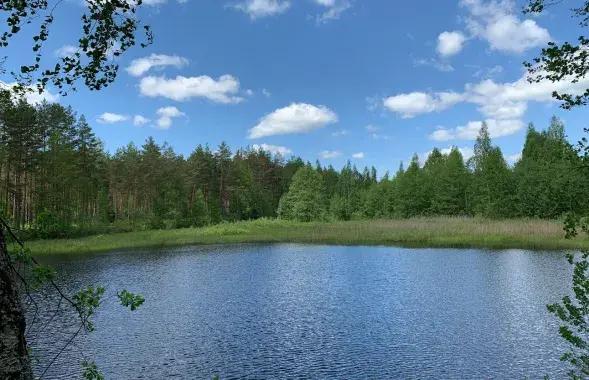 Жара возвращается в Беларусь / Еврорадио
