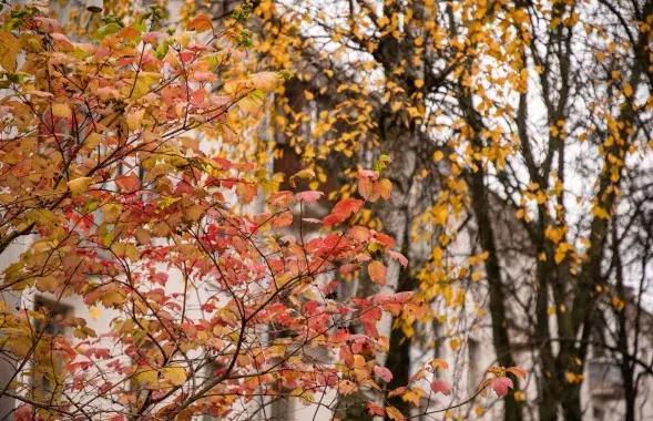 Восень у Беларусі / Еўрарадыё