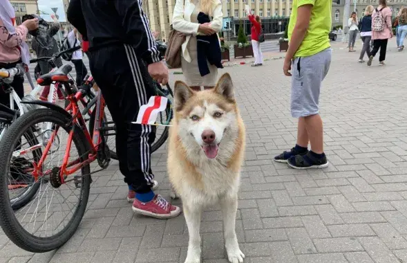 Протесты в Беларуси / Еврорадио