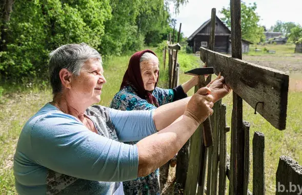 Каб абараніцца ад набегаў жывёл, мясцовыя ўмацоўваюць платы / sb.by
