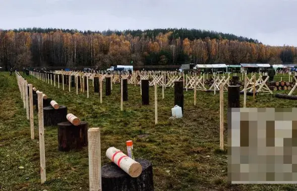 Площадка для "чемпионата по колке дров"