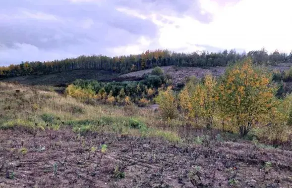 Тут плануюць пабудаваць сховішча фекалій