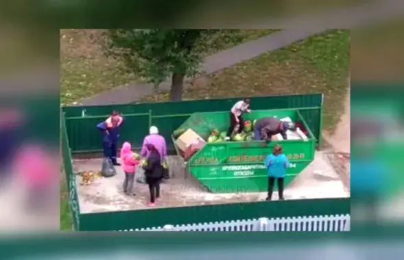 Кавуны на памыйніцы ў Гродне, кадр з відэа