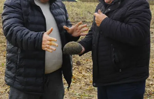 В Беларуси не хватает агрономов