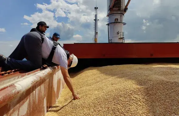 Проверки коснутся и зерна, которое следует транзитом через Клайпедский порт, иллюстративное фото&nbsp;
