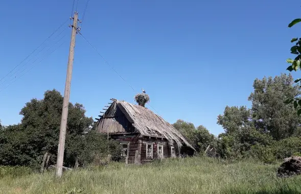 Лета ў Кудрычах на Палессі
