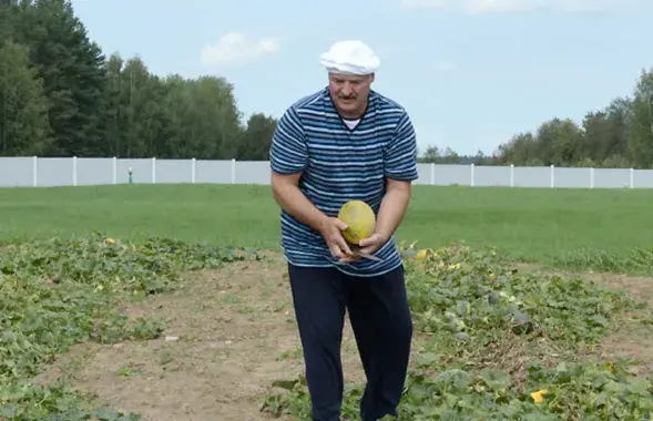 Для Лукашенко купили две дорогие газонокосилки
