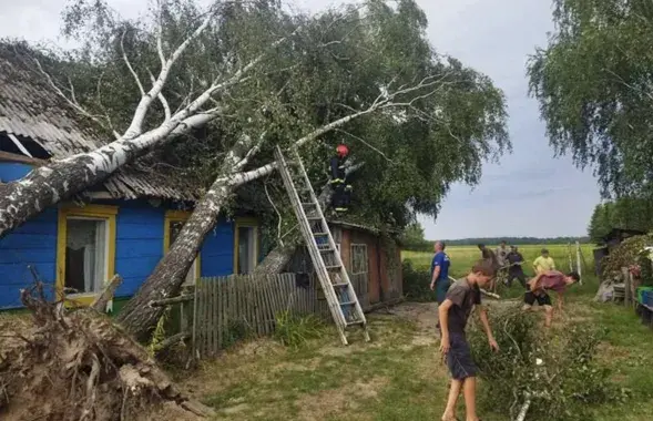 Последствия урагана в Гомельской области
