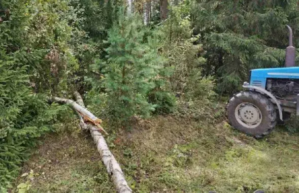 На месцы, дзе адбылося трагічнае здарэнне
