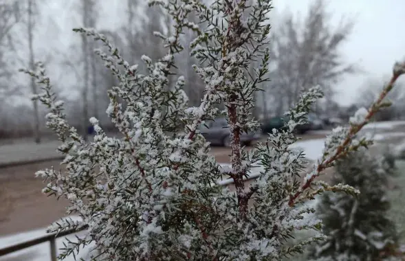 В январе на юге Беларуси
