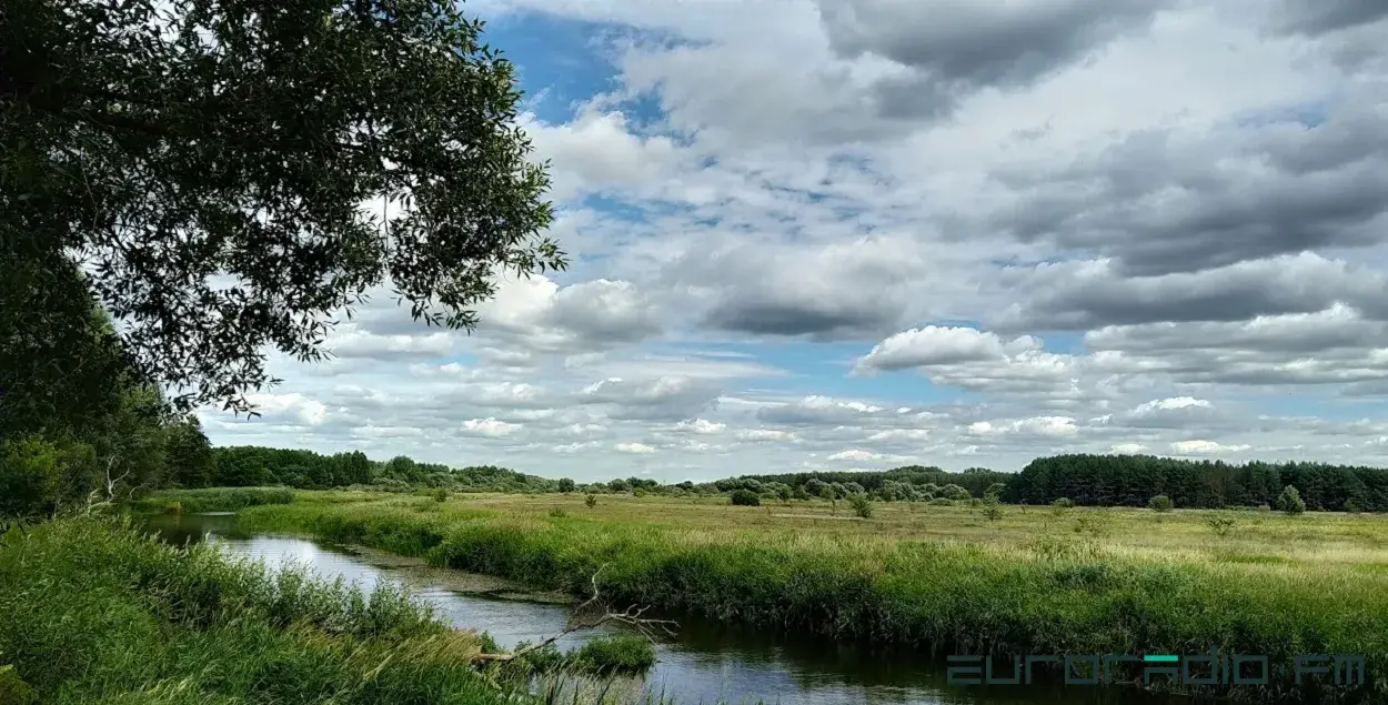 Перад дажджом / З архіва Еўрарадыё