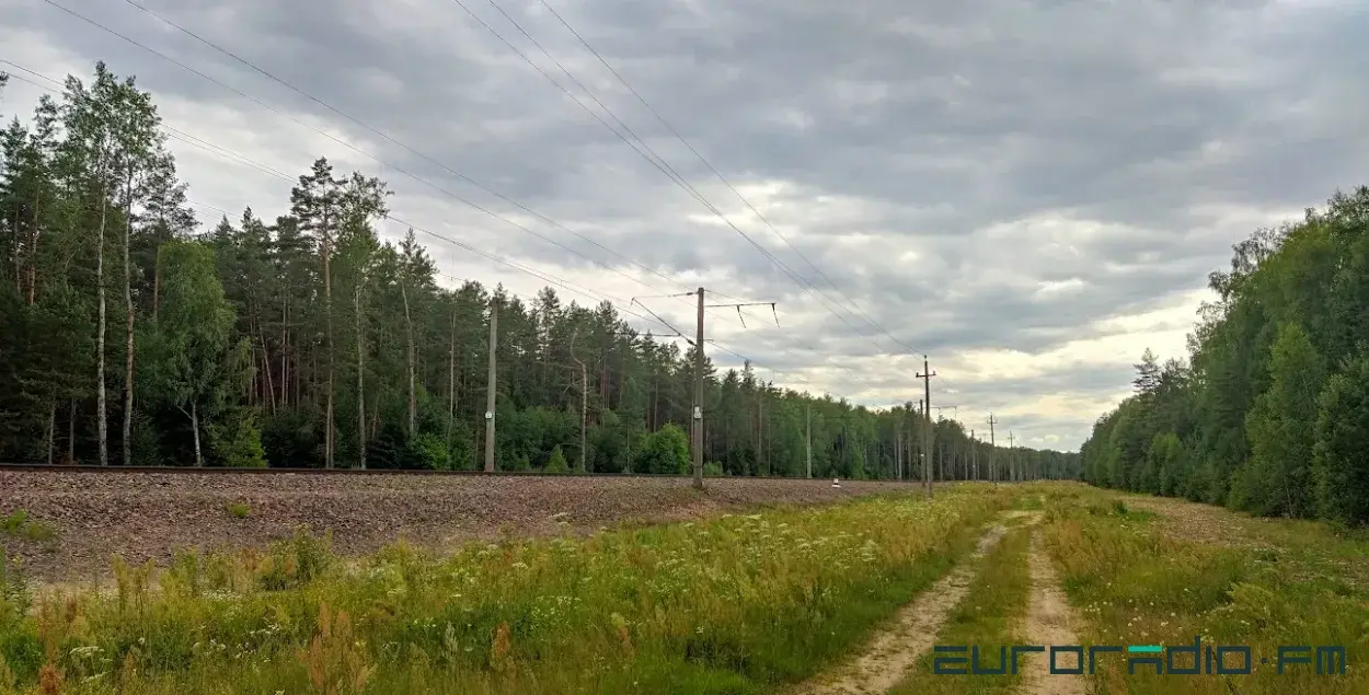 Лета ў Беларусі / Еўрарадыё