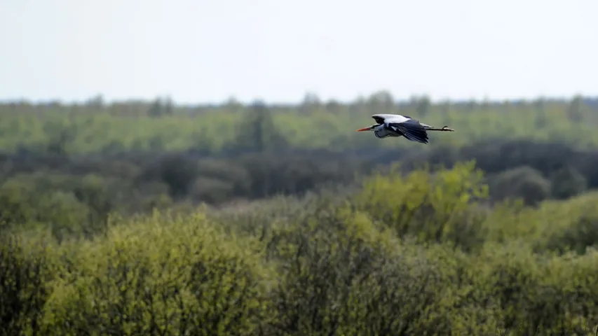 У Пінску спусцілі на ваду беларускі круізны цеплаход. Фотарэпартаж