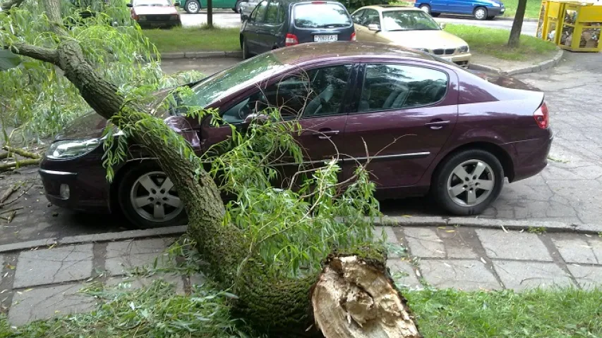 У Мінску за два дні па "аўтакаска" падало заявы ўжо 40 чалавек