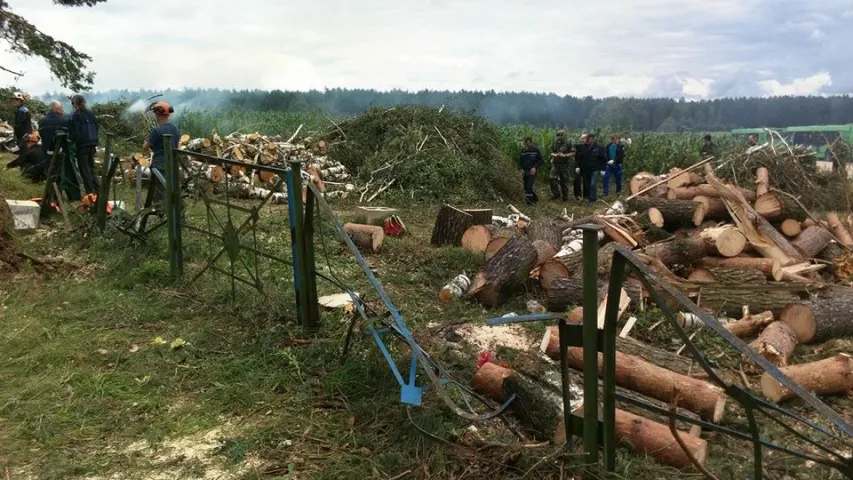 Ураган разбурыў могілкі ў вёсцы пад Мінскам (фотафакт)