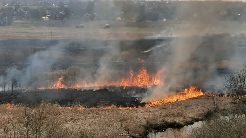 У Слуцку рыбакі вудзілі рыбу, нягледзячы на пажар за спінамі 