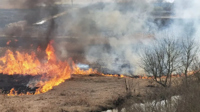 У Слуцку рыбакі вудзілі рыбу, нягледзячы на пажар за спінамі 