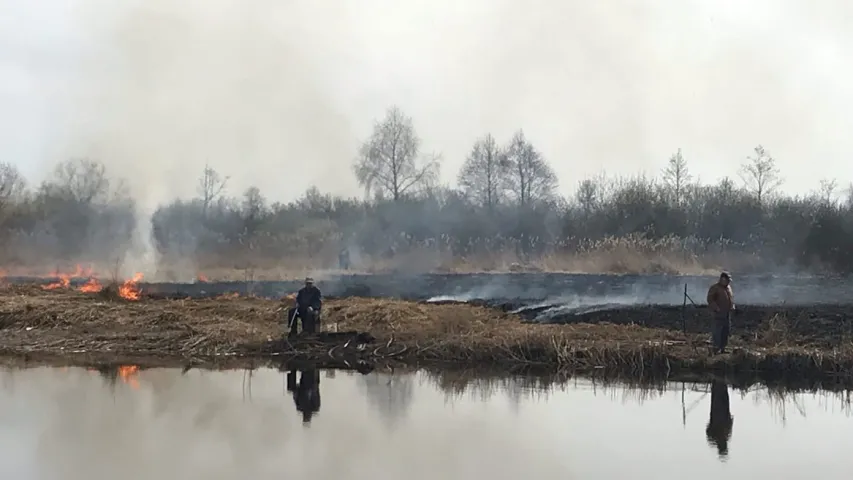 У Слуцку рыбакі вудзілі рыбу, нягледзячы на пажар за спінамі 