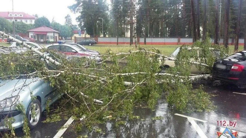 У Мінскім раёне з-за моцнага ветру падалі дрэвы і адключалася святло (фота)