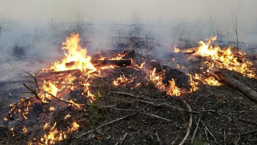 Пажар у Столінскім раёне заняў ужо 400 га, яго тушаць з верталётаў