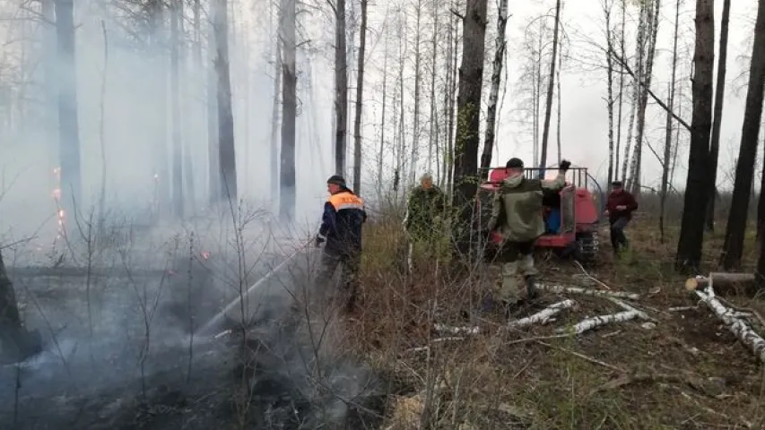 Пажар у Столінскім раёне заняў ужо 400 га, яго тушаць з верталётаў