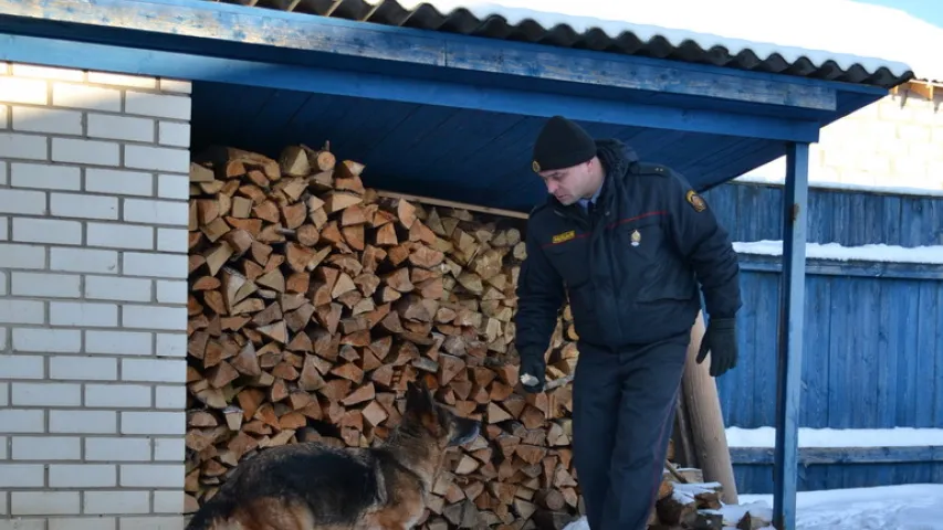 Міліцыянт даглядае службовага сабаку, у якога выявілі рак