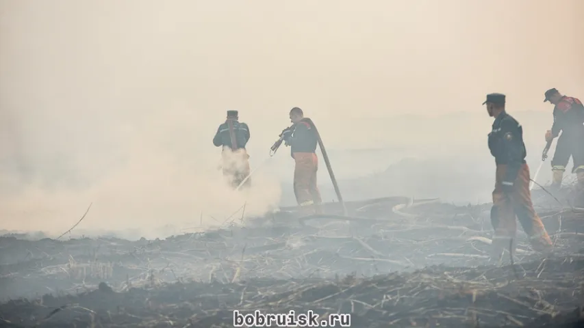 Бабруйск зацягнула дымам: пад горадам тлеюць былыя палі фільтрацыі (фота)