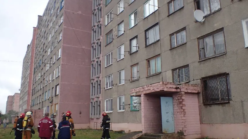 На пажары ў Бабруйску сабака выратаваў дзяўчынку