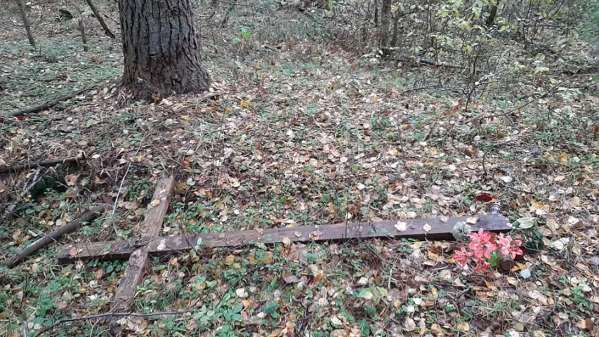 Невядомыя паламалі крыжы на месцы сталінскіх расстрэлаў пад Віцебскам 