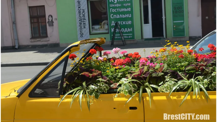 Фотафакт: У Брэсце са старога VW Golf зрабілі клумбу з кветкамі