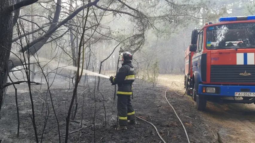 Каля Брэста ліквідавалі вялікі пажар, які набліжаўся да газавай запраўкі