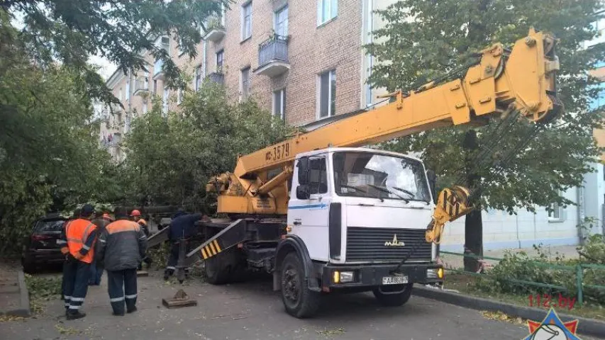 У Мінску ад моцнага ветру дрэвы падалі на аўтамабілі (фота)