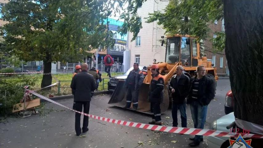 У Мінску ад моцнага ветру дрэвы падалі на аўтамабілі (фота)