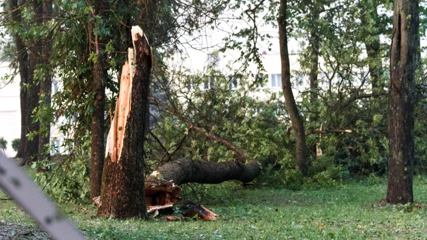  Фотафакт: Па Дзяржынску прайшлася навальніца з ураганам