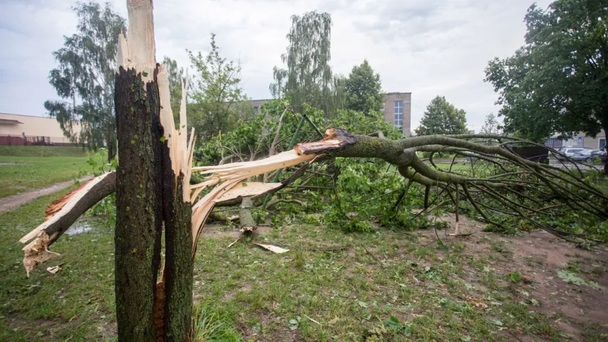  Фотафакт: Па Дзяржынску прайшлася навальніца з ураганам