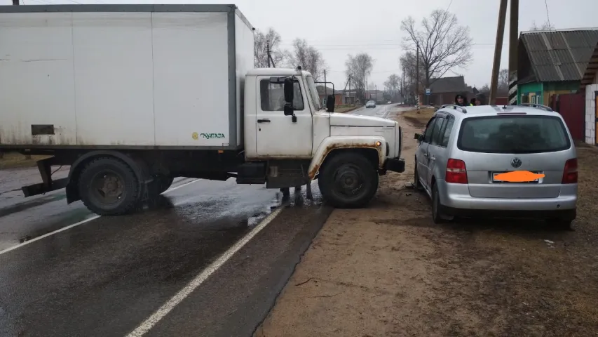 У Быхаўскім раёне грузавік без кіроўцы здзейсніў ДТЗ