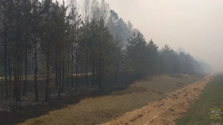 Амаль 200 чалавек змагаюцца з лясным пажарам пад Гроднам