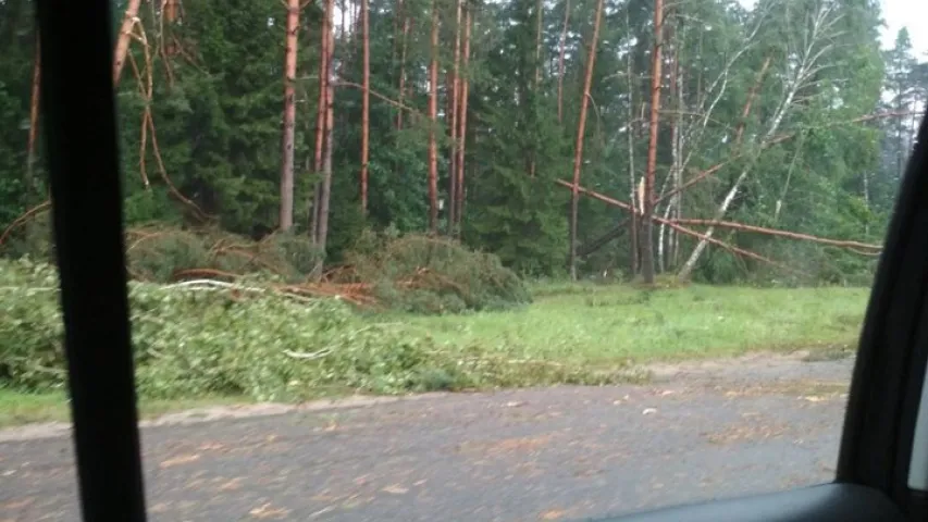 Ураган на Астравеччыне ламаў дрэвы і зрываў з дамоў дахі (фота)