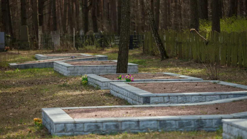 Цыганы, тушаны вожык з бульбай і тэст на цнатлівасць