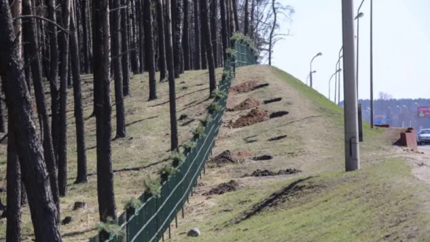 У Курапатах знішчылі ўсе металічныя крыжы з боку МКАД