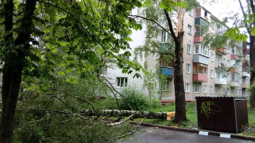 Падчас залевы ў Мінску на студэнтаў звалілася гандлёвая палатка