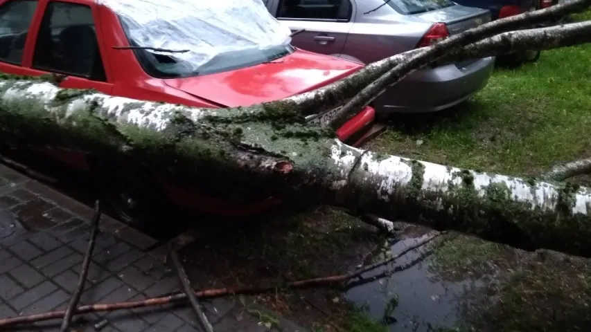 Падчас залевы ў Мінску на студэнтаў звалілася гандлёвая палатка