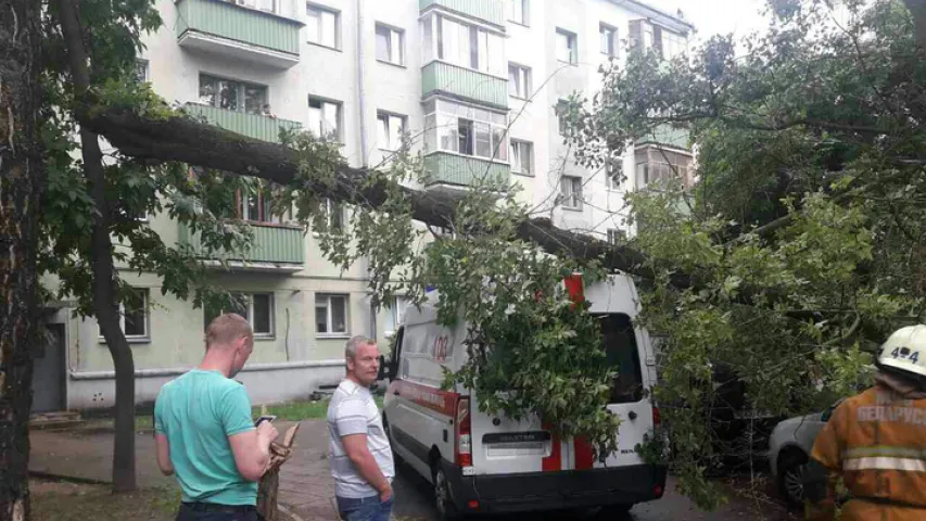 У Мінску моцны вецер паваліў дрэва на тры аўто, у тым лiку хуткую дапамогу