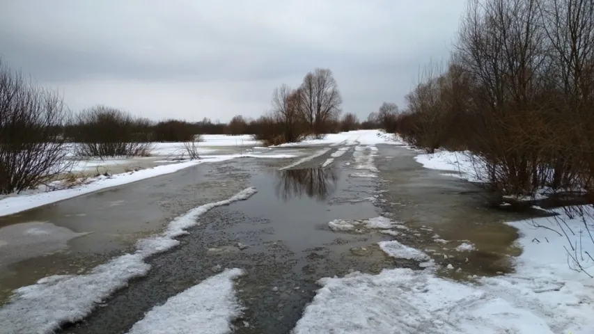 Каля Петрыкава падтапіла ўчасткі аўтадарог да паромных пераправаў праз Прыпяць