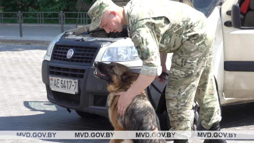 Мінскі стадыён "Дынама" ахоўваюць міліцыянты з сабакамі (фота, відэа)