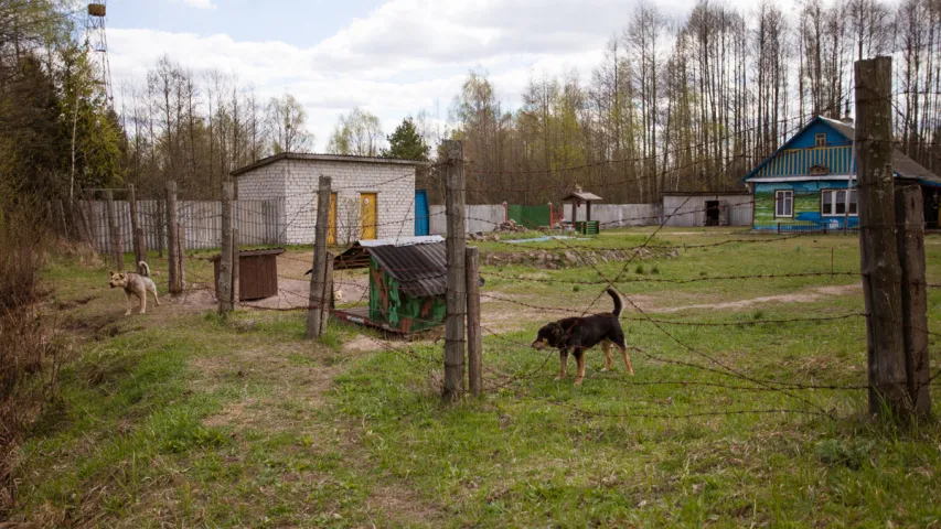 "Тут можна спакойна жыць". Рэпартаж з чарнобыльскай зоны