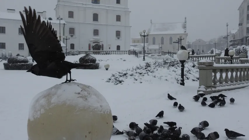 Жыхары Мінска змагаюцца з магутным снегападам